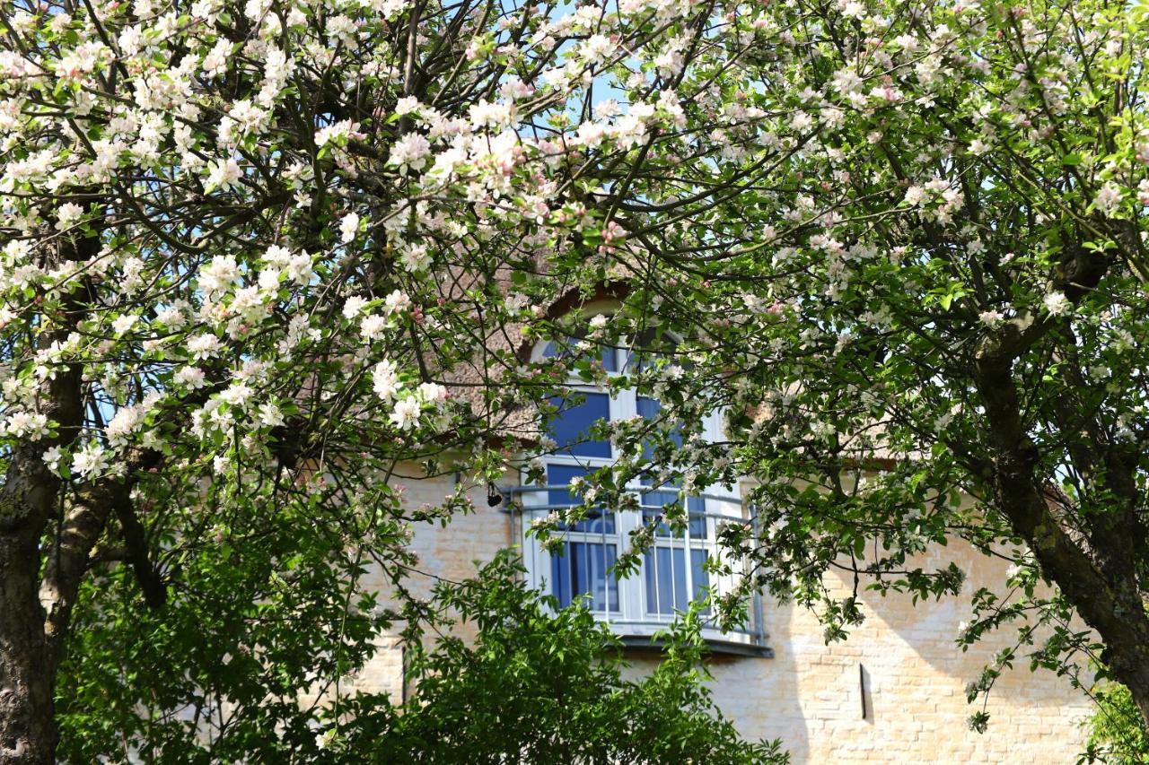 Hotel Bakkehuset Countryhouse Skovby  Zewnętrze zdjęcie