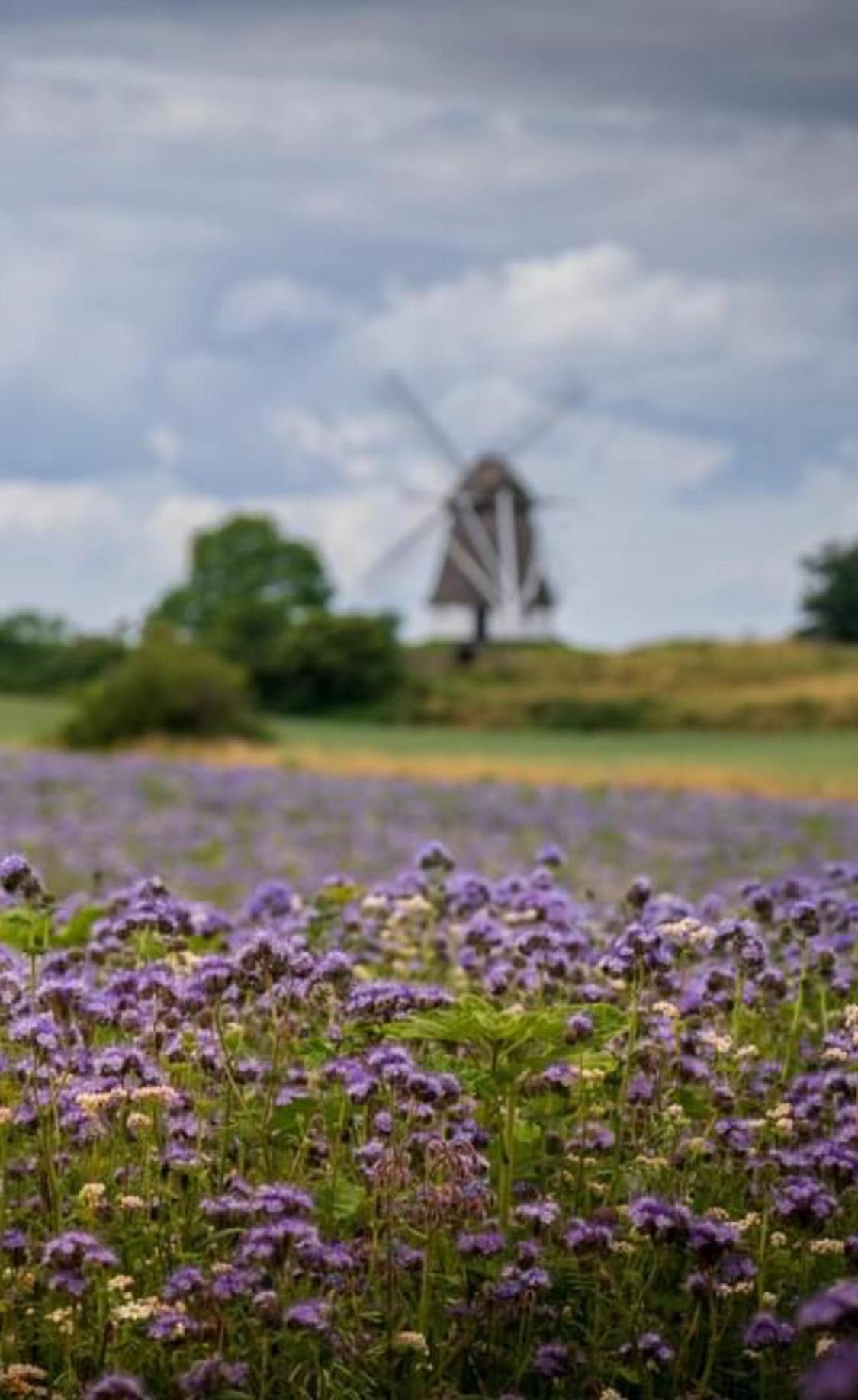 Hotel Bakkehuset Countryhouse Skovby  Zewnętrze zdjęcie