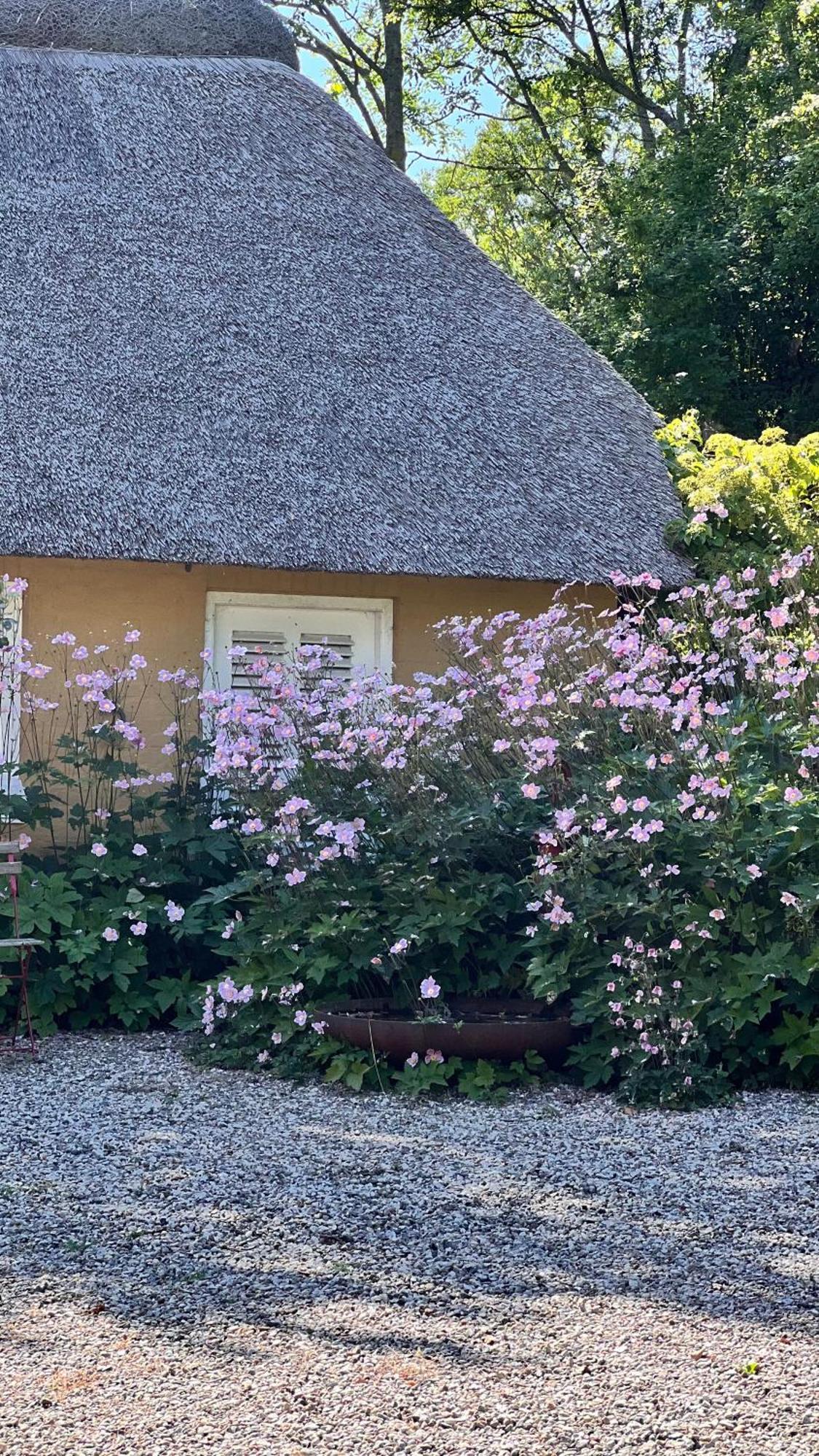 Hotel Bakkehuset Countryhouse Skovby  Zewnętrze zdjęcie