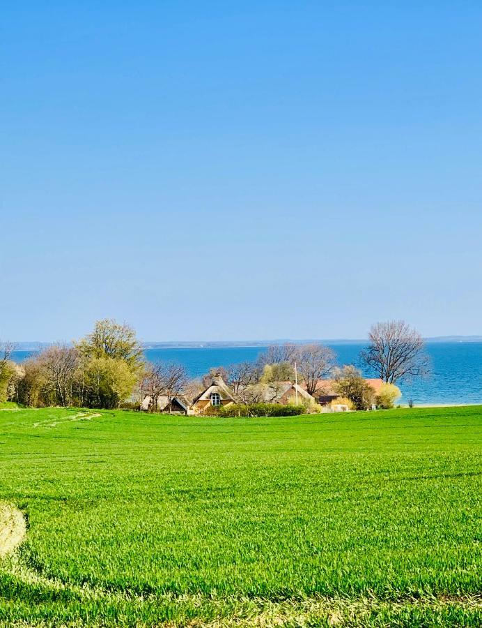 Hotel Bakkehuset Countryhouse Skovby  Zewnętrze zdjęcie