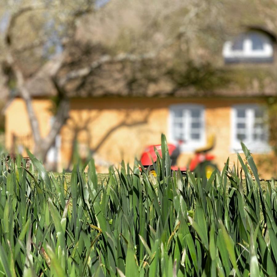 Hotel Bakkehuset Countryhouse Skovby  Zewnętrze zdjęcie